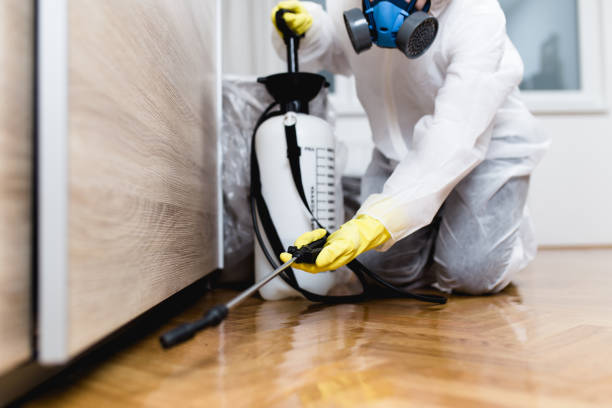 Pest Prevention Services in Bellevue, WA