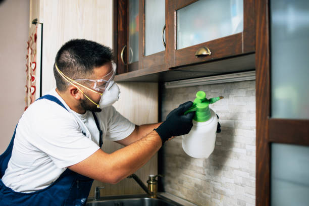 Best Pest Control Near Me  in Bellevue, WA