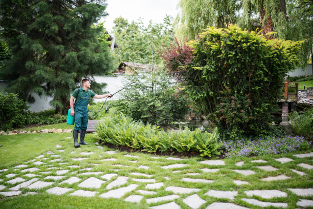 Best Rodent Control Near Me  in Bellevue, WA