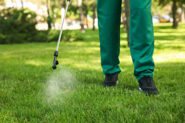 Professional Pest Control in Bellevue, WA