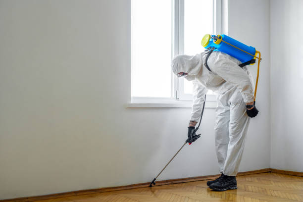 Best Commercial Pest Control Services  in Bellevue, WA