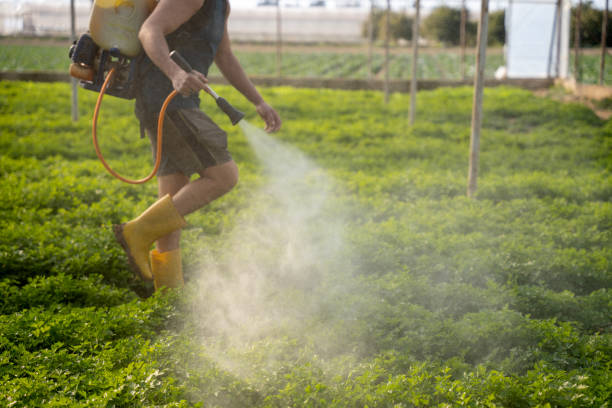 Best Pest Control Near Me  in Bellevue, WA