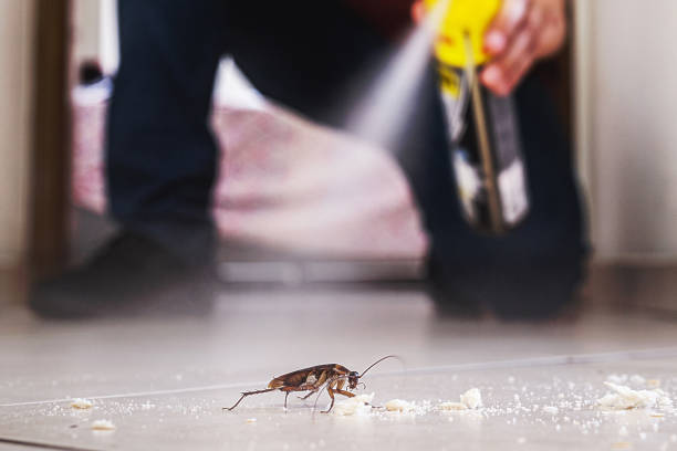Best Emergency Pest Control  in Bellevue, WA