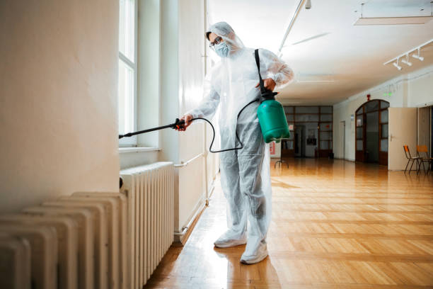 Best Wildlife Control Services  in Bellevue, WA