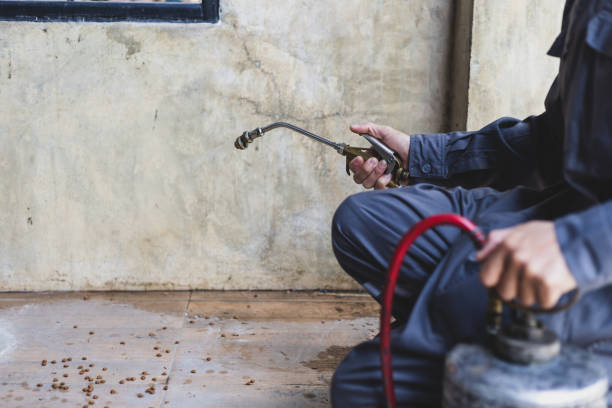 Best Mosquito Control Services  in Bellevue, WA